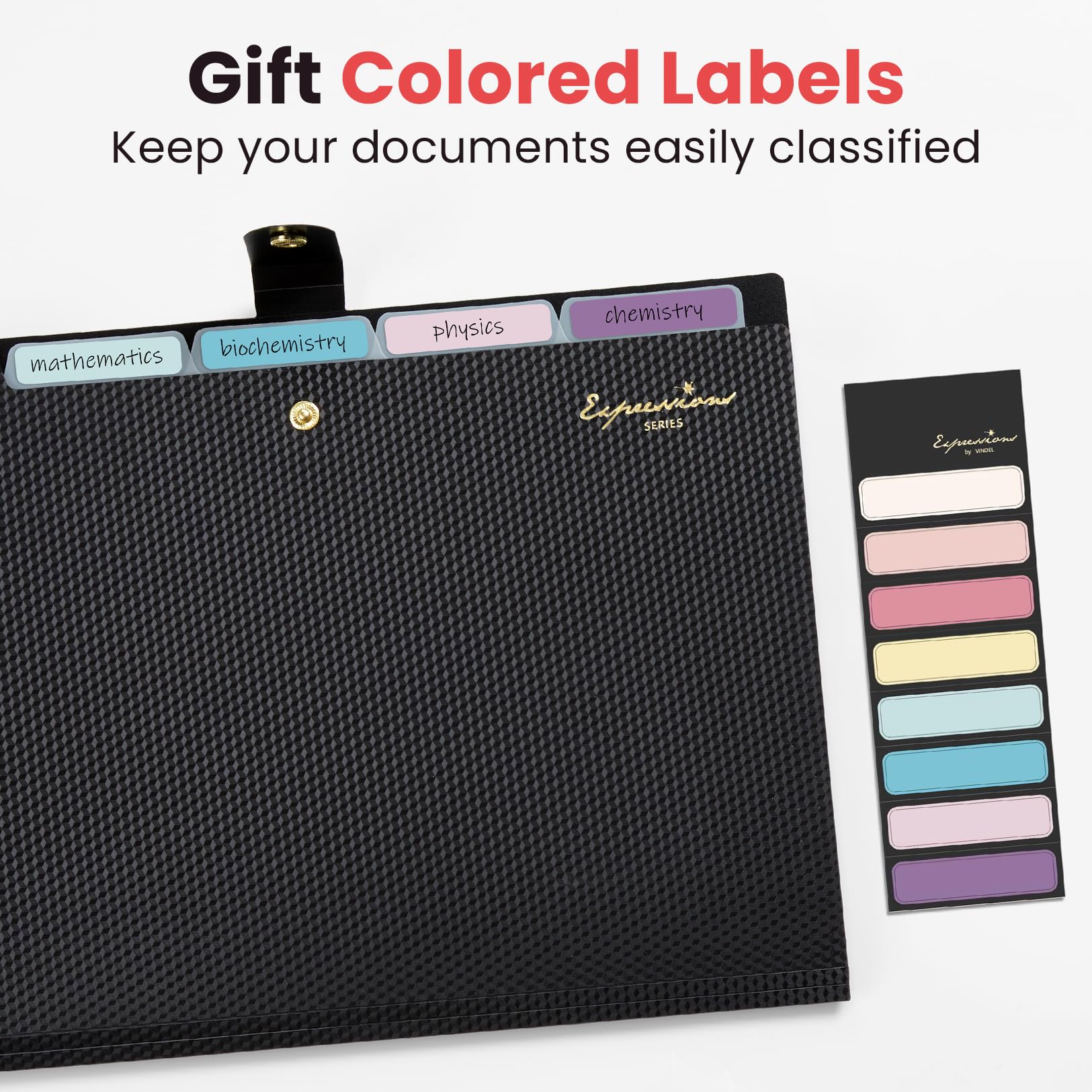 Amazon.com : Sooez Expanding File Folder, Letter Size